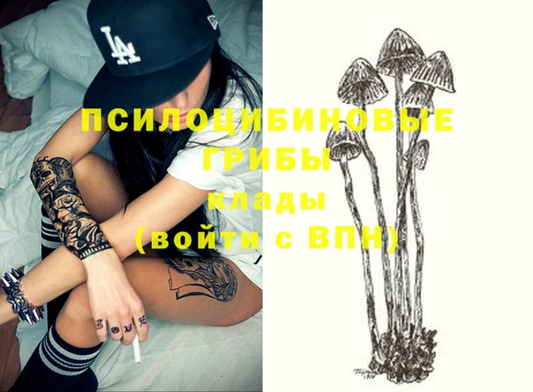 мдпв Нея