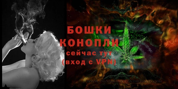 мдпв Нея
