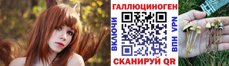цены   Комсомольск  Псилоцибиновые грибы мицелий 